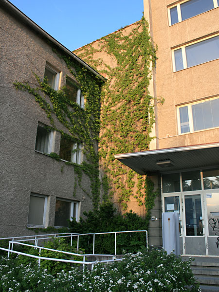 Postitalon kulma